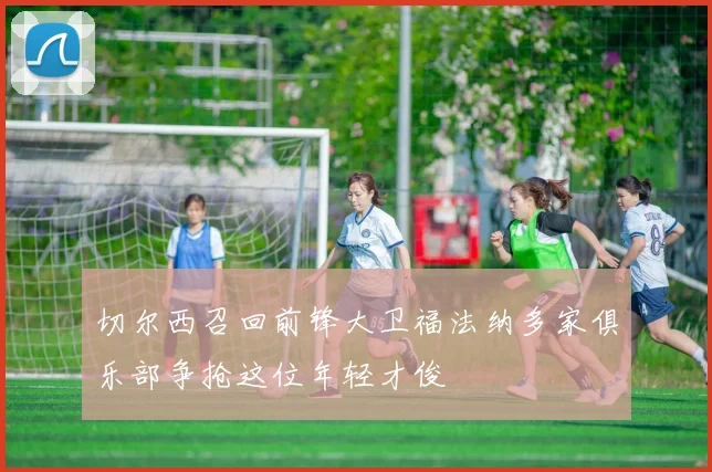 切尔西召回前锋大卫福法纳多家俱乐部争抢这位年轻才俊